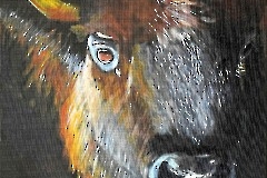 Итоговой выставкой завершился проект «Художники в гостях у зоопарка»