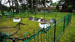 4. Локса. Воинское захоронение № 4. 31 августа 2023 г. Фото - Александр Хмыров