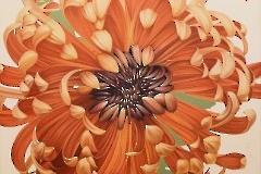 12. Открытие выставки «Музыка зимних праздников» в Театральной галерее. 6 ноября 2025 г. Фото- Александр Хмыров