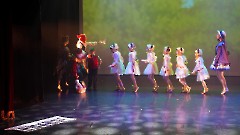 031. Благотворительный балетный гала-концерт в Центре культуры «Мере» 30 ноября 2025 г. Фото- Александр Хмыров