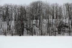 28. Ида-Вируский уезд. В очередную годовщину  высадки советского морского десанта в Мерикюла. 14.02.2021. Фото Александра Хмырова