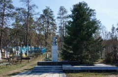 4. Могила Героя Советского Союза Евгения Никонова на кладбище села Васильевка