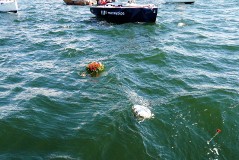 На таллинском рейде отдали дань памяти погибшим морякам