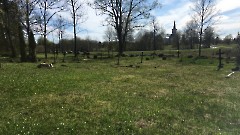 Raasiku vana kalmistu. Фотография Дэна Лукаса 6.05.2020