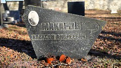 3-20, C1. Военное кладбище. Таллин. Фото - Александр Хмыров, февраль-март 2024 г.