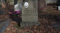 5-20, C1. Военное кладбище. Таллин. Фото - Александр Хмыров, 11 марта 2024 г.
