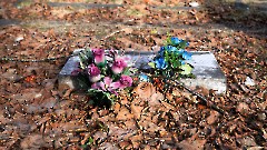 6-22, C1. Военное кладбище. Таллин. Фото - Александр Хмыров, 11 марта 2024 г.