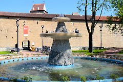 Нарвский музей