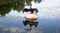Итоговой выставкой завершился проект «Художники в гостях у зоопарка»