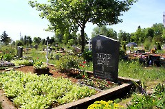 ПЕТРОВ Андрей Юрьевич