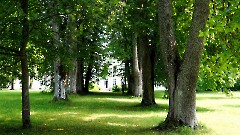 13. Мыза Керну, 11 июля 2026 г. Фото- Александр Хмыров