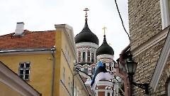 01. Песнопения в честь Пресвятой Богородицы. Таллин, Александро-Невский собор, 30 августа 2026 г. Фото- Александр Хмыров