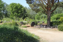 ВИННИ Аарне Лембитович