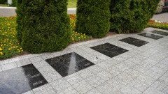 На Аллее Звёзд в Витебске «зажглась» новая звезда