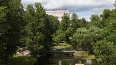 Витебск фестивальный