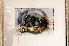 Открытие выставки «Они такие разные»