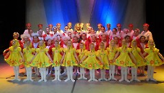 Шоу-балет «Визави»