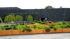 Итоговой выставкой завершился проект «Художники в гостях у зоопарка»