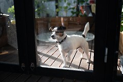 Презентация работ Малле Лейс в музее Каламая в Таллине