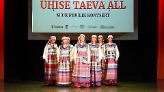 Дни национальных культур: Концерт «ПОД ОДНИМ НЕБОМ»
