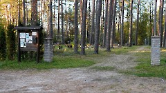 1. Ниицику кладбище. 28 сентября 2025 г. Фото- Александр Хмыров